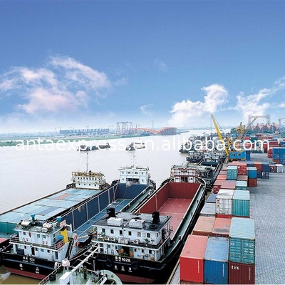 Sea Freight International Logistcs forwarder DDU DDP Services From Shenzhen to Canada