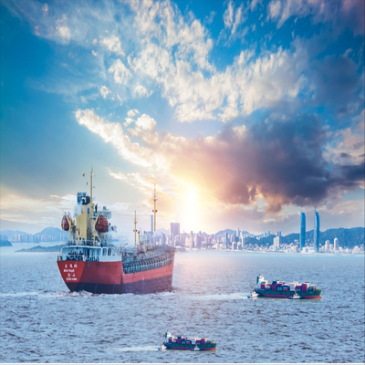 International Sea Freight LCL FCL From China To Belgium Forwarding