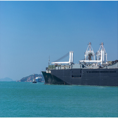 International Seariders Freight Forwarder FCL LCL DDU DDP Service To Vienna