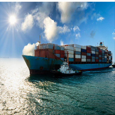 International Seariders Freight Forwarder FCL LCL DDU DDP Service To Vienna