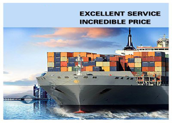 DDU DDP International Sea Freight Forwarding Shenzhen To North America