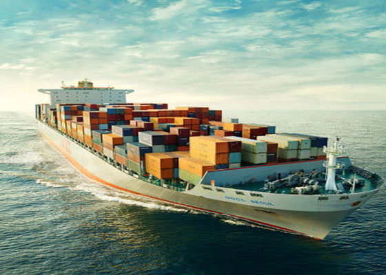 DDU DDP International Sea Freight Forwarding Shenzhen To North America