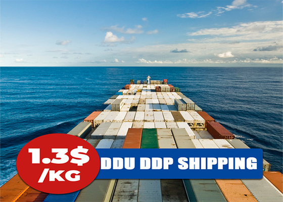 Door To Door Sea Freight From China To Australia FCL LCL