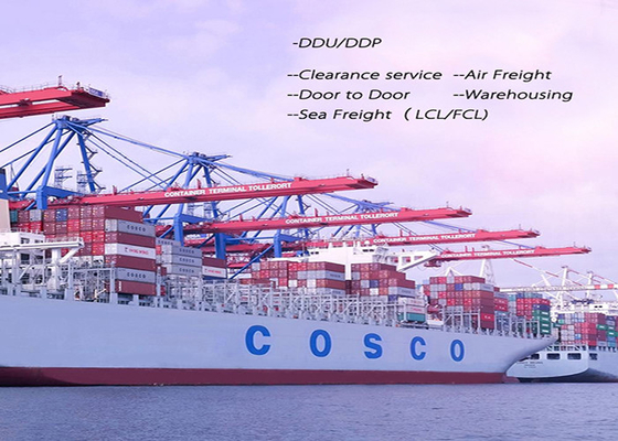 40GP International Sea Freight Forwarding , Ocean Container Shipping Forwarder