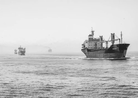 LCL Container Freight Forwarder Shenzhen To Miami USA