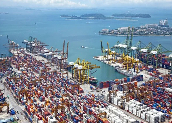 Speedy DDU Shipping From Foshan China To San Jose California USA