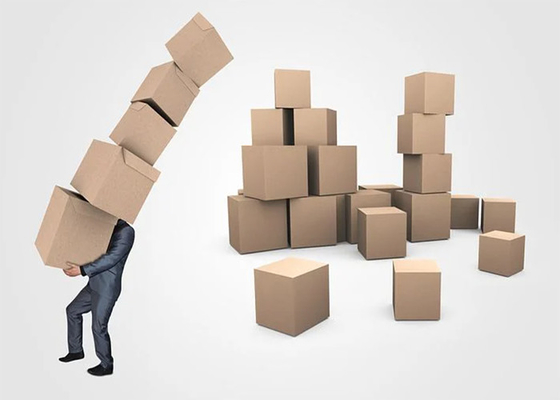Daily International Express Courier Service Shipping Agent