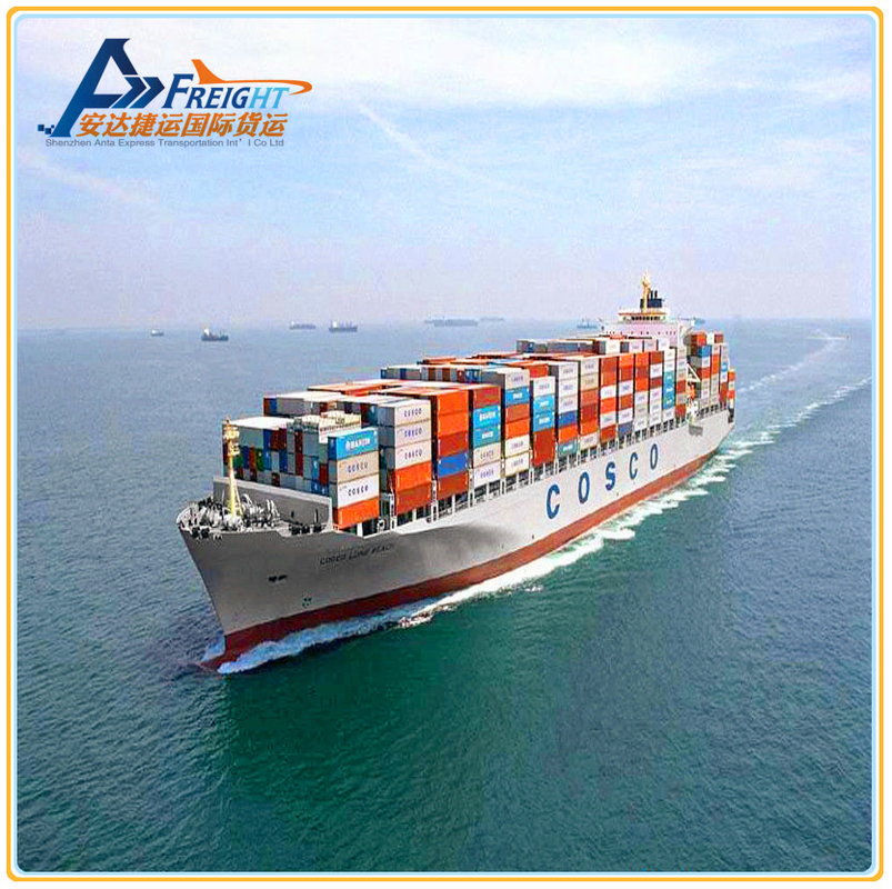 International Sea Freight Shipping Services China forwarder DDU DDP to Denmark