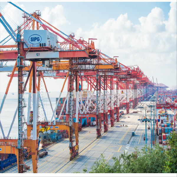 FCL LCL Door To Door International Sea Freight Forwarder China To Ghana Tema