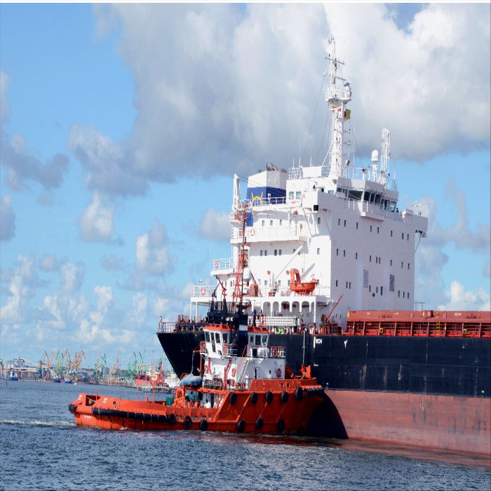 Logistics International Sea Freight Services From China To Singapore