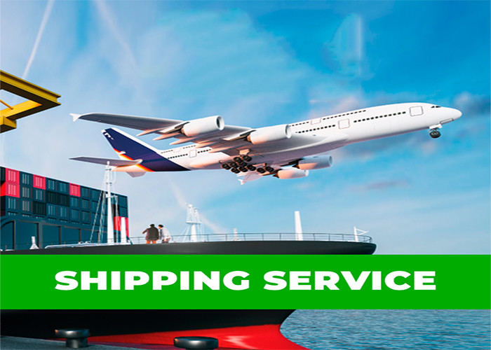 DDU DDP International Sea Freight Forwarding Shenzhen To North America