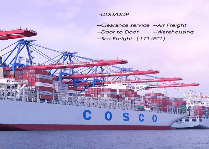 40GP International Sea Freight Forwarding , Ocean Container Shipping Forwarder
